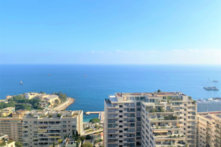 Monaco Properties : Guide Ultime pour une Vie de Luxe en Bord de Mer à Larvotto et Fontvieille, Monaco