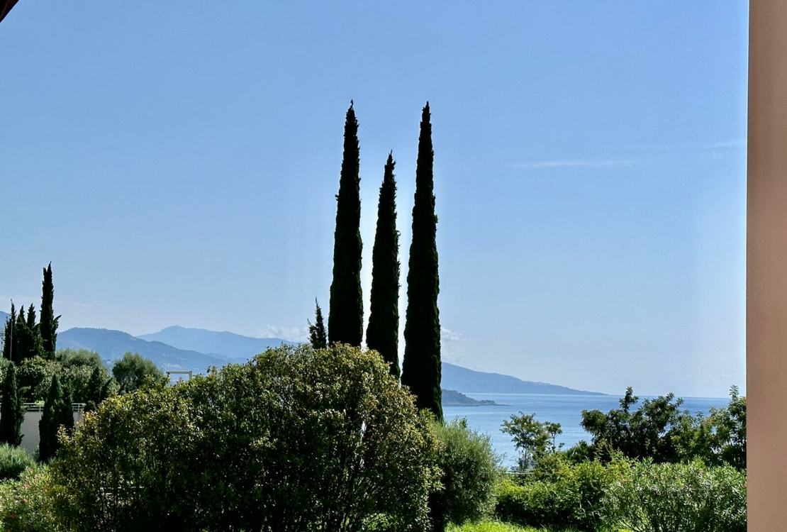 EXOTIC GARDEN | THE PLATI | 2 ROOMS