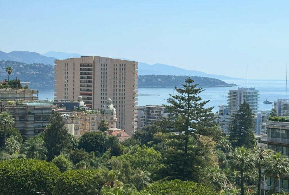 Möblierte 2-Zimmer-Wohnung zur Miete | Parkpalast, Monaco Carré d'Or