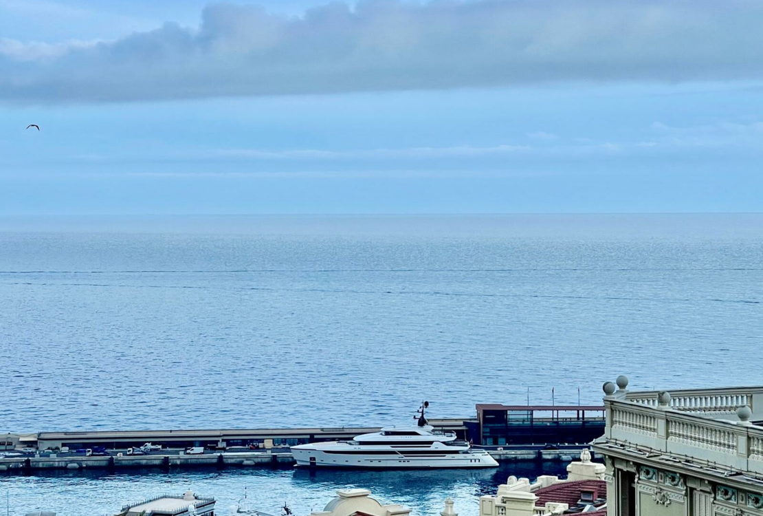 CARRÉ D'OR | SUN TOWER | 3 ROOMS