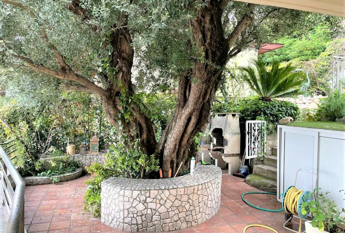 ROQUEBRUNE CAP MARTIN | MEERBLICK | 4 ZIMMER MIT TERRASSE, GARTEN und PRIVATEM SCHWIMMBECKEN